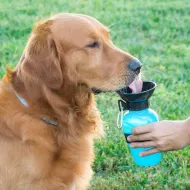 Cestovná fľaša na vodu pre psov - 500 ml